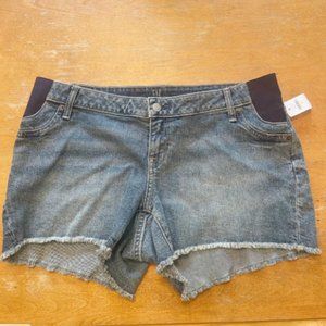 NWT Gap size 12 denim Jean maternity Shorts with side panels and cute fringe hem